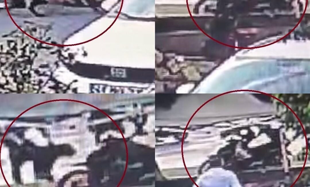 Mersin’de 2 kişinin yaralandığı ağızlıksız boş bırakılan Rottweiler cinsi köpeğin