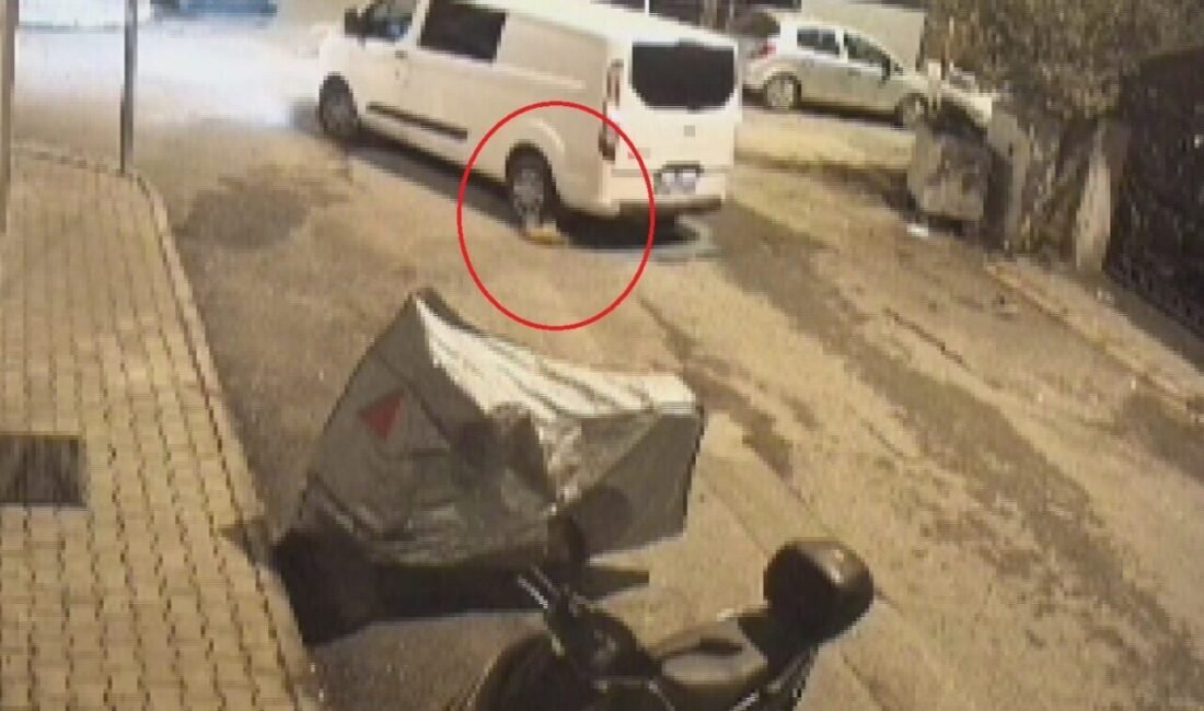 Hatay’da seyir halindeki minibüsün, yol üzerindeki kediyi ezdiği ve sürücüsünün