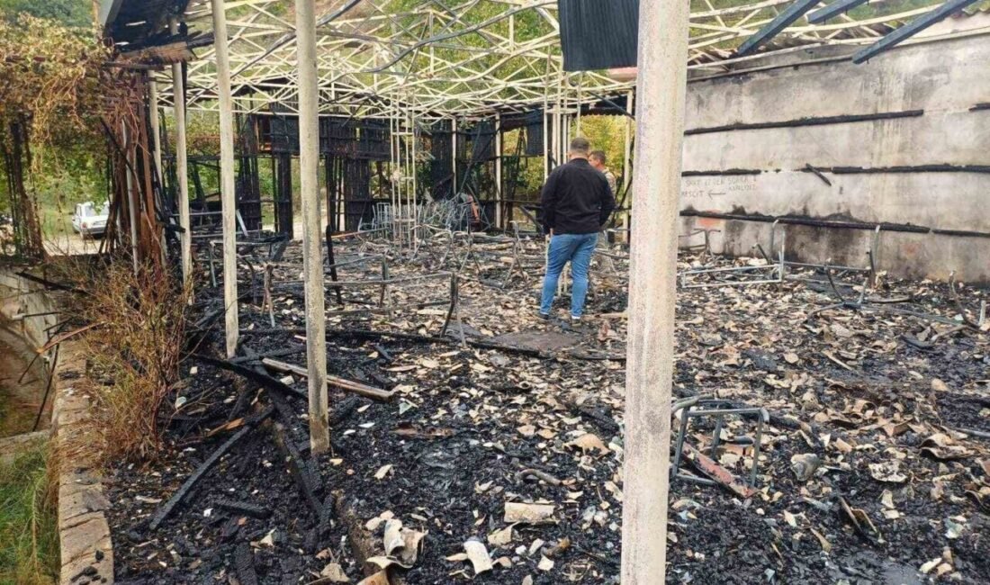 Osmaniye’nin Bahçe ilçesinde bulunan bir alabalık tesisinde çıkan yangın itfaiye