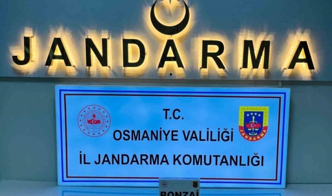 Osmaniye’de jandarma ekiplerince son bir haftada düzenlenen operasyonlarda 124 şüpheli