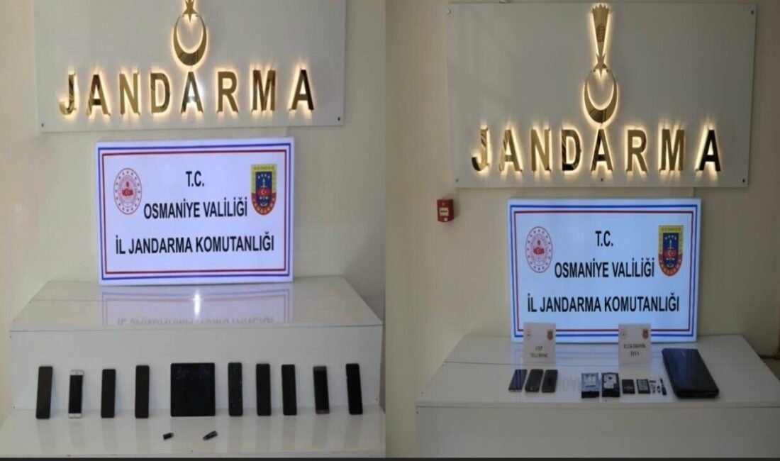 Osmaniye İl Jandarma Komutanlığınca, DEAŞ silahlı terör örgütü faaliyetlerinin deşifre