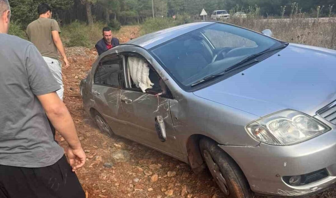 Osmaniye’nin Düziçi ilçesinde sürücüsünün direksiyon hakimiyetini kaybettiği otomobil şarampole uçtu.