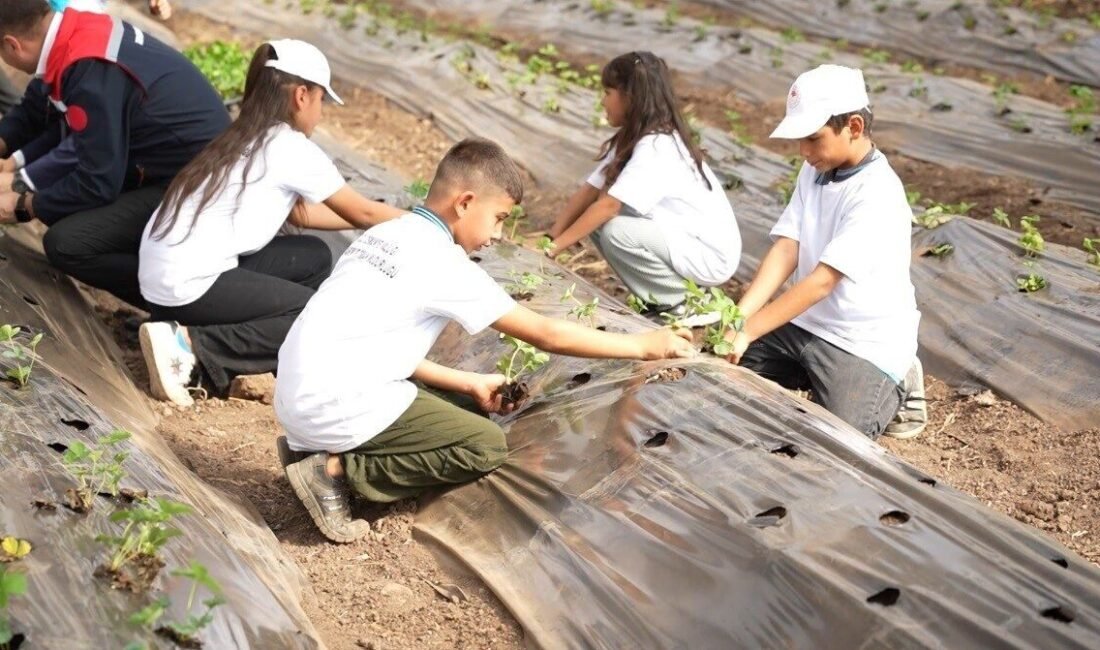 Osmaniye’de minik eller toprağa dokundu “Kooperatifçilik” temasıyla düzenlenen “Lider Çocuk