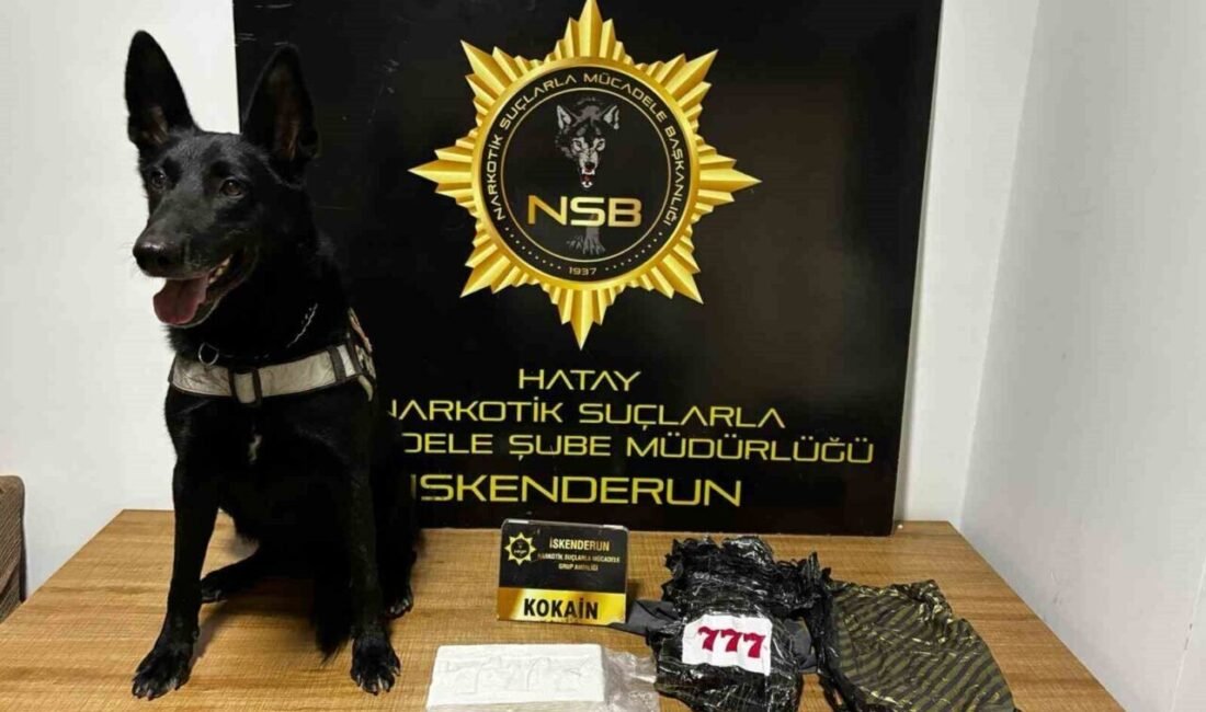 Hatay’da polis ekipleri tarafından narkotik köpeğiyle gerçekleştirilen operasyonda otomobilin kaput