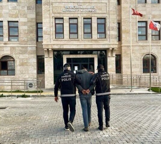 Isparta’nın Yalvaç ilçesinde düzenlenen uyuşturucu operasyonunda saksılara dikili kenevir bitkileri