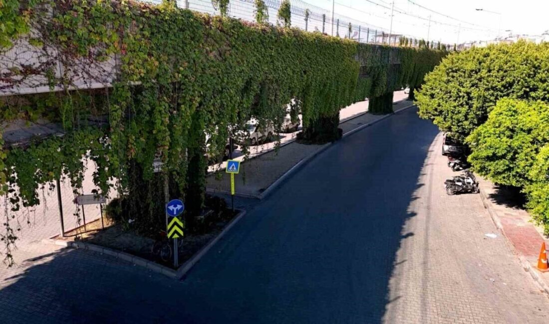 Adana’da sarmaşıklarla kaplı metro yolu, görenleri hayran bırakırken, kentin beton
