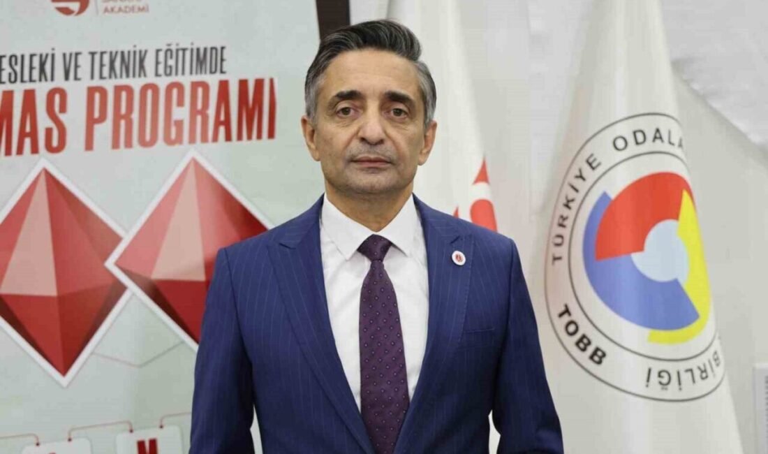 Cumhurbaşkanlığı Savunma Sanayii Başkan Yardımcısı Prof. Dr. Hakan Karataş, seri