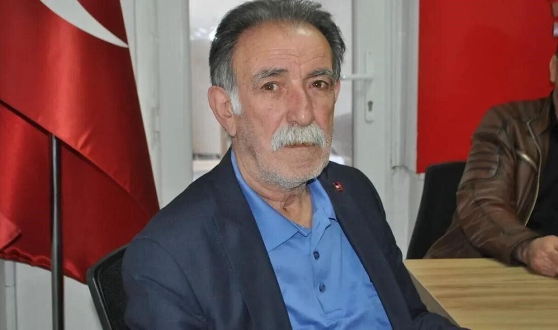 Antalya’nın Serik ilçesinde yolun karşısına geçmeye çalışırken minibüsün çarptığı 80