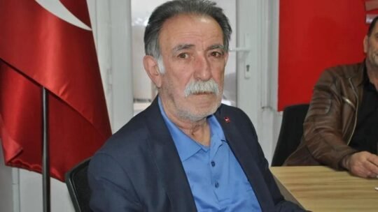 Antalya’nın Serik ilçesinde yolun karşısına geçmeye çalışırken minibüsün çarptığı 80
