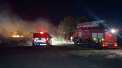 Antalya’nın Serik ilçesinde D-400 karayolu kenarında çıkan yangın, trafikte ilerleyen