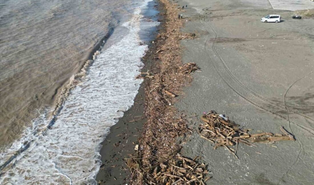 Hatay’ın kıyı ilçelerinde etkili olan şiddetli yağış Akdeniz’in kıyılarını kütüklerle