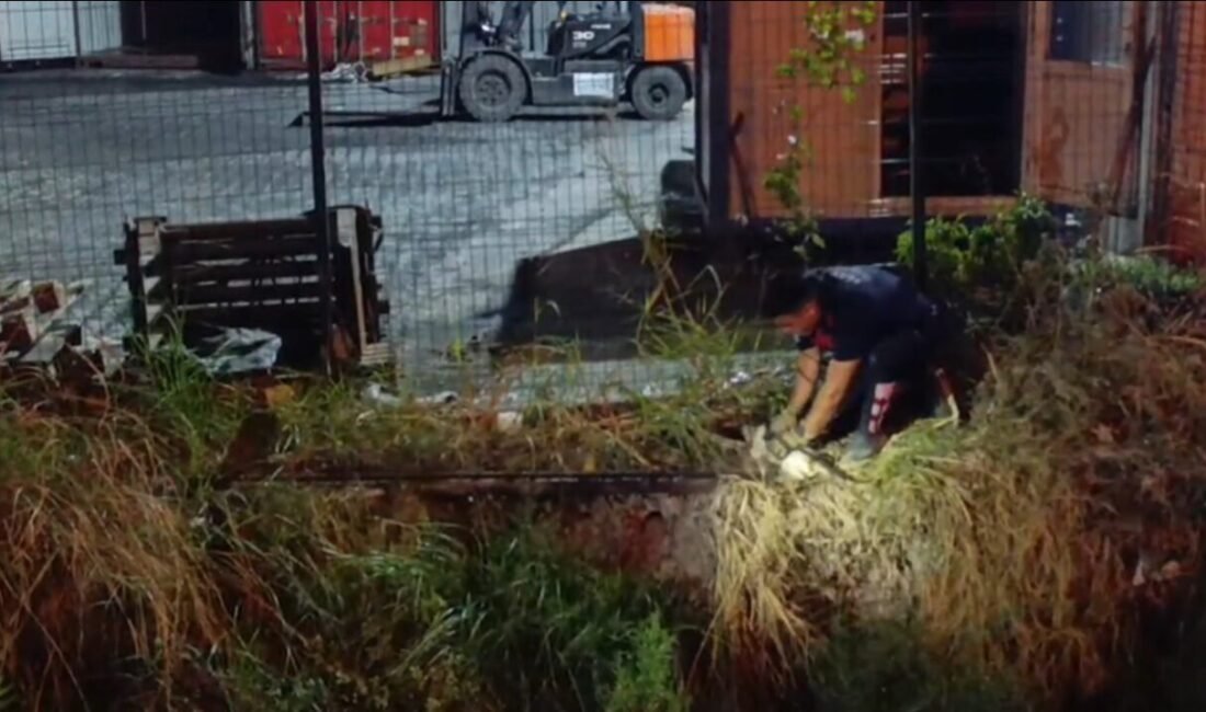 Hatay’ın İskenderun ilçesinde su kanalına düşen kedi, itfaiye ekiplerinin hızlı