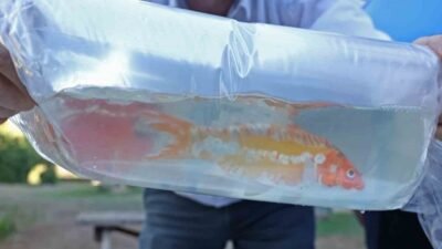 Antalya Büyükşehir Belediyesi Zabıta ekipleri, Antalya Şehirlerarası Otobüs Terminali’nde gerçekleştirdiği