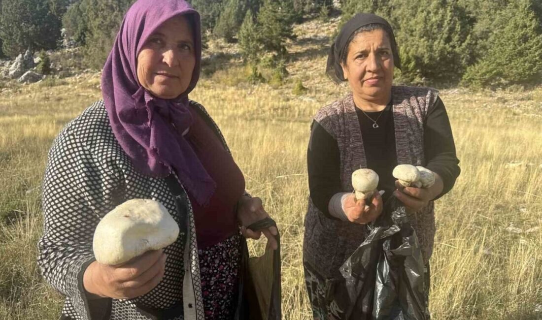 Antalya’nın Akseki ilçesinde etkili olan yağışların ardından ormanlık alanlarda ve