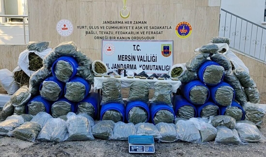 Mersin’de uyuşturucu satıcılarına yönelik düzenlenen eş zamanlı jandarma operasyonunda yüzlerce