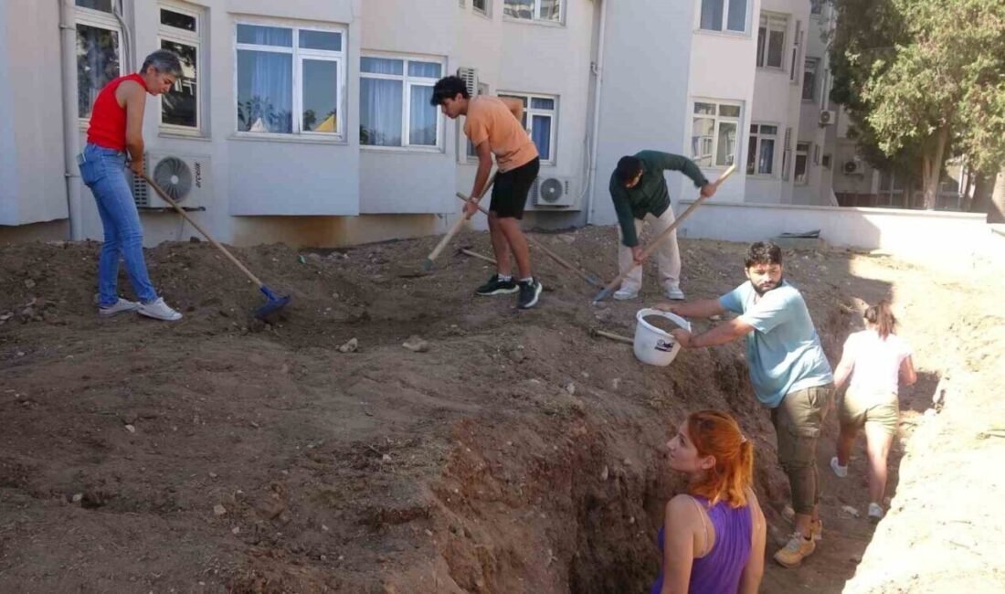 Mersin Körfezinde 4 yıl önce ölen ve müze bahçesine gömülen