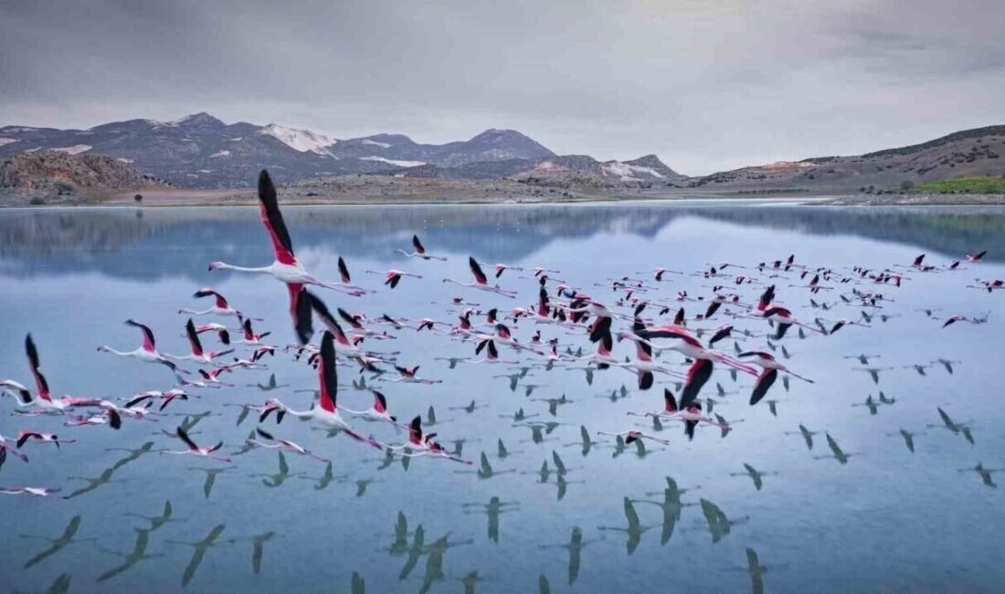 Burdur’un Yeşilova ilçesinde bulunan Yarışlı Gölü, 2 sene öncesine binlerce