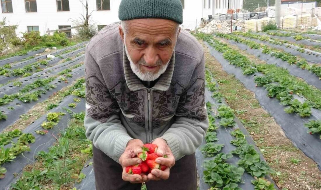 Isparta’nın Sav beldesinde yaşayan 85 yaşındaki İbrahim Çakmakçı, 15 yıl