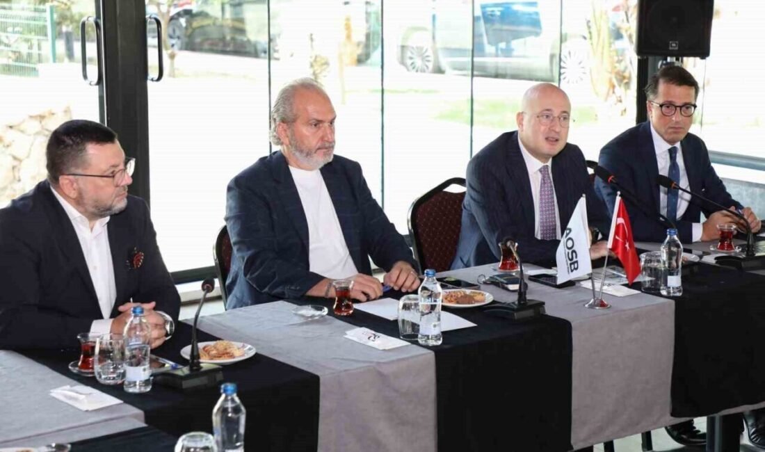 Adana Hacı Sabancı Organize Sanayi Bölgesi (AOSB) Yönetim Kurulu Üyesi