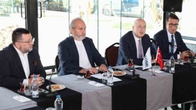 Adana Hacı Sabancı Organize Sanayi Bölgesi (AOSB) Yönetim Kurulu Üyesi