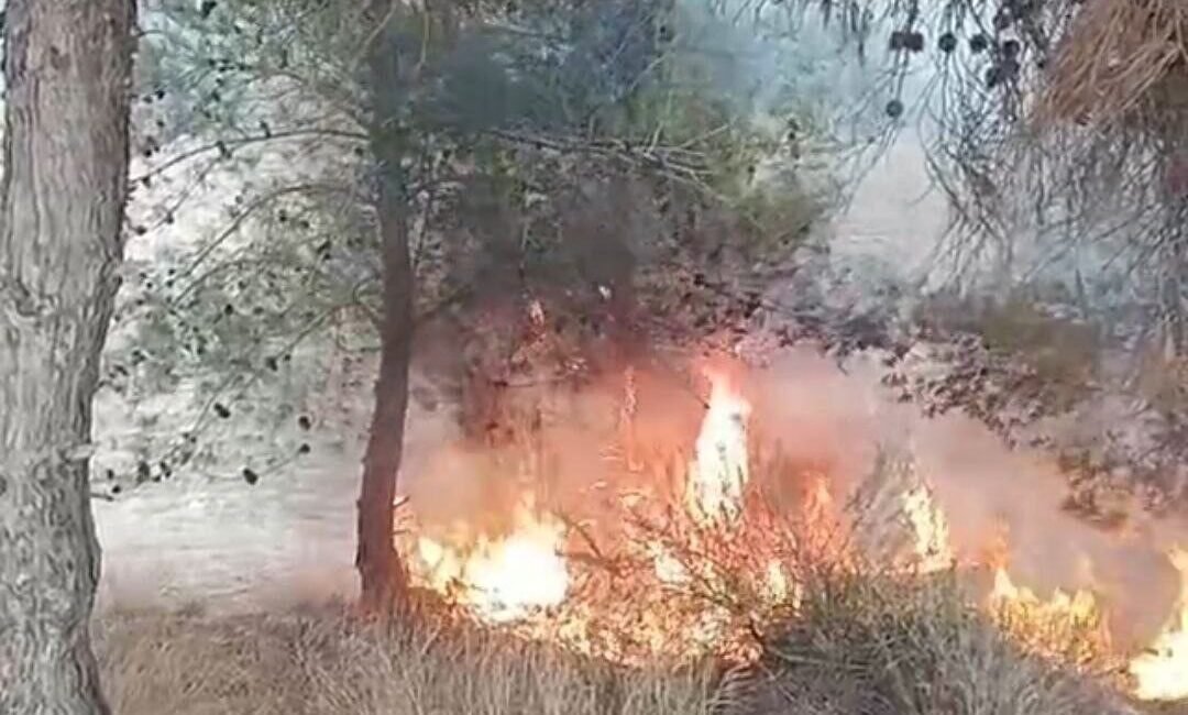 Adana’da 10 yaşlarındaki bir çocuğun çıkardığı öne sürülen yangında 100
