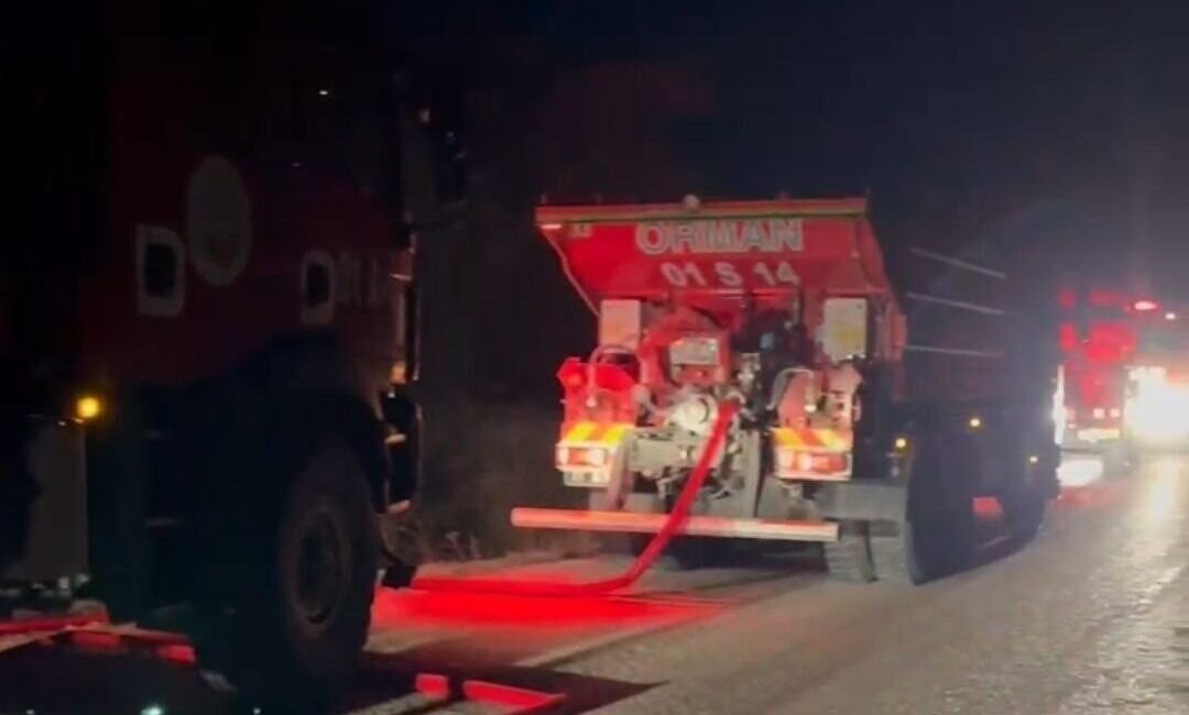 Adana’da gece çıkan orman yangını ekiplerin müdahalesiyle büyümeden söndürüldü. Yangın,