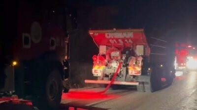 Adana’da gece çıkan orman yangını ekiplerin müdahalesiyle büyümeden söndürüldü. Yangın,