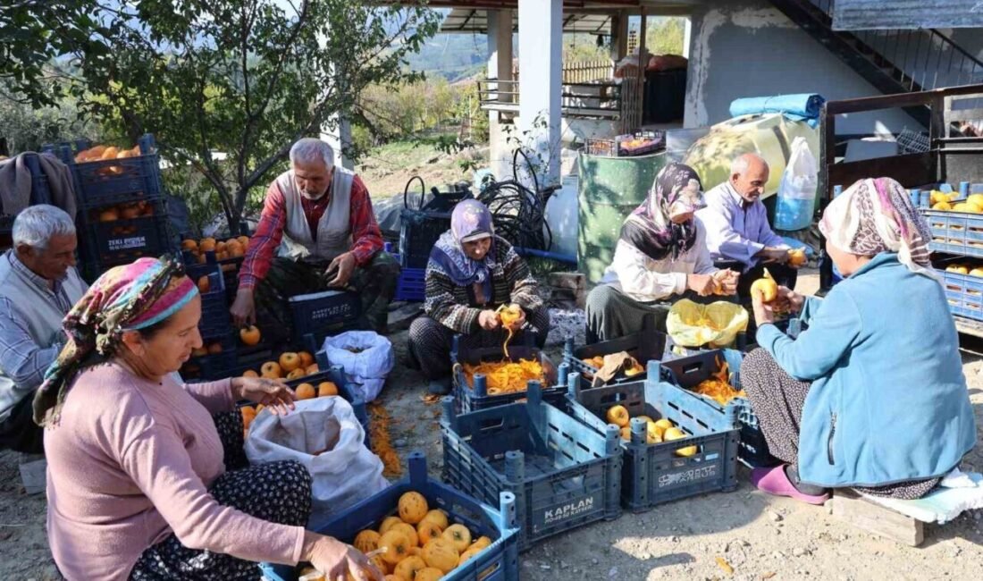 Türkiye’nin önemli üretim merkezlerinden Adana’nın Kozan ilçesinde, 120 haneli Minnetli