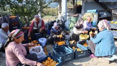 Türkiye’nin önemli üretim merkezlerinden Adana’nın Kozan ilçesinde, 120 haneli Minnetli