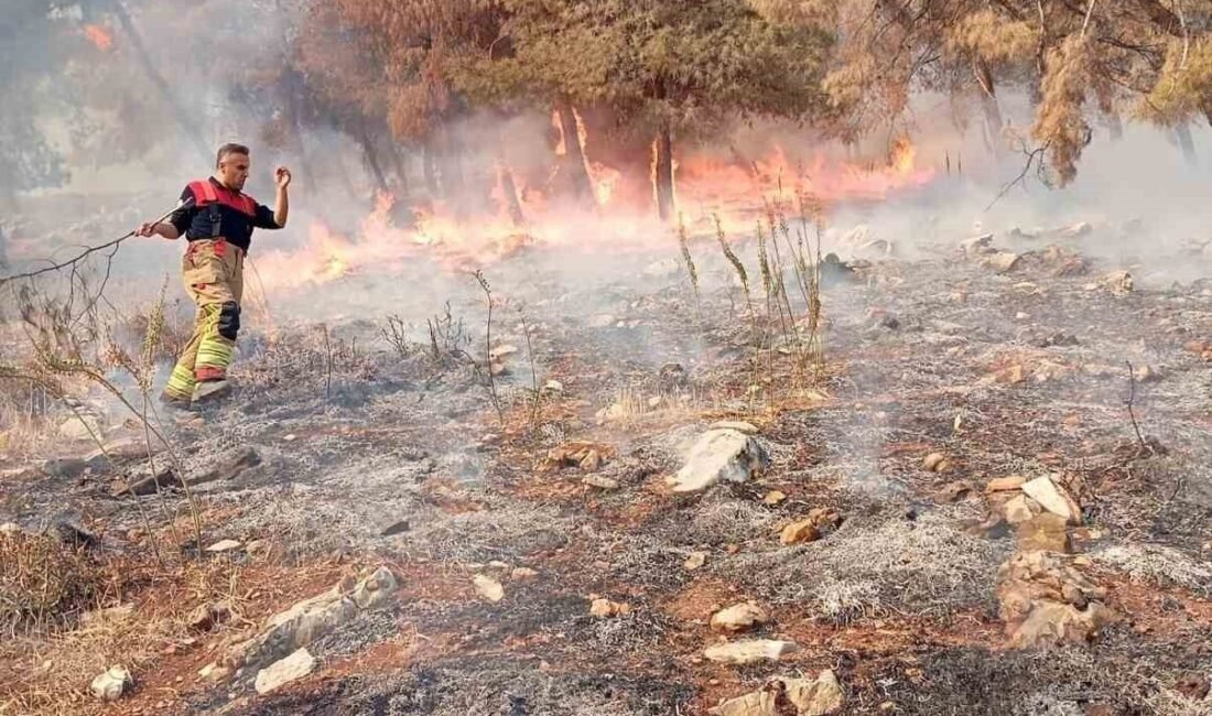 Hatay’da ormanlık alanda çıkan yangın, kısa sürede kontrol altına alındı.