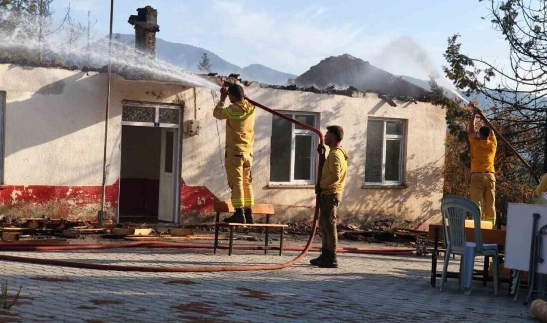 Antalya’nın Gazipaşa ilçesine bağlı Yeni Güney Mahallesi’nde ormanlık alanda çıkan
