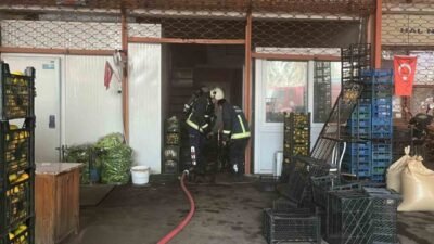 Antalya’nın Alanya ilçesinde bulunan bir sebze ve meyve deposunda çıkan