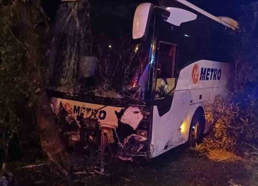 Antalya’nın Alanya ilçesinde yolcu otobüsü, refüjde bulunan ağaç ve aydınlatma