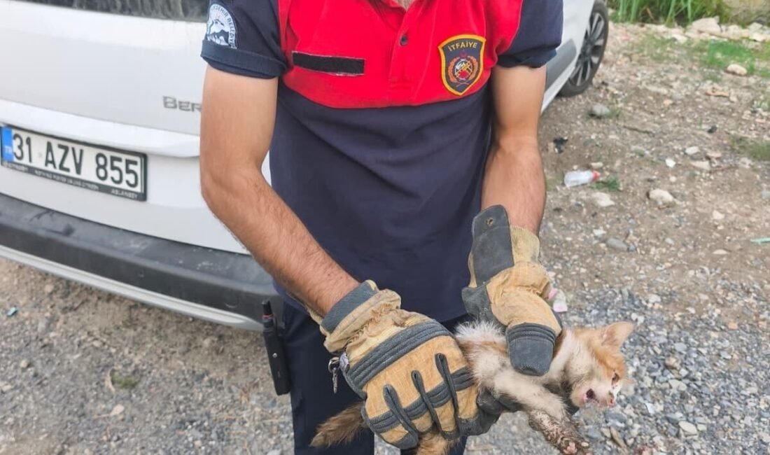 Hatay’da aracın kaput kısmına girerek mahsur kalan yavru kedi, itfaiye