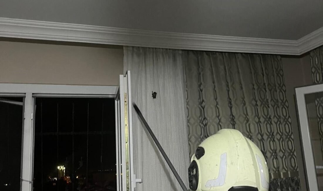 Hatay’da eve giren yarasa, itfaiye ekipleri tarafından yakalanarak doğal yaşam