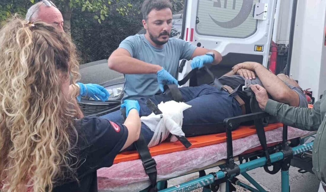 Bacağına saplanan korkuluk demiri ile hastaneye kaldırıldı Antalya’nın Manavgat ilçesinde evinin bahçesinde bulunan ağaçtan Trabzon hurmasını toplarken