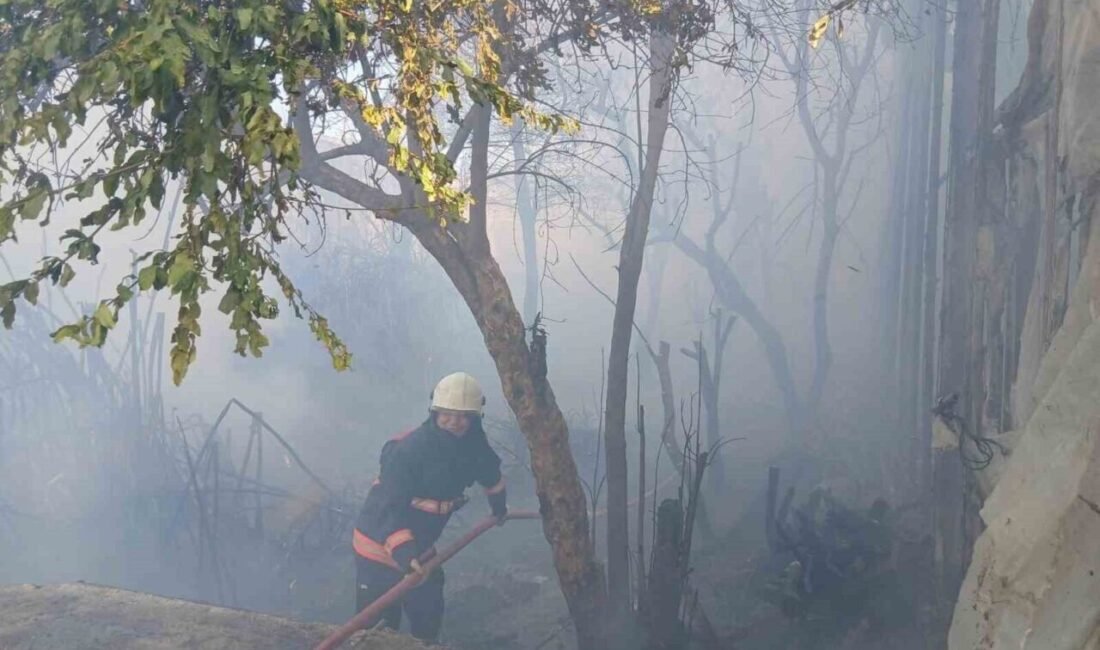 MERSİN (İHA) – Mersin’in Bozyazı ilçesinde sabah saatlerinde çıkan yangın