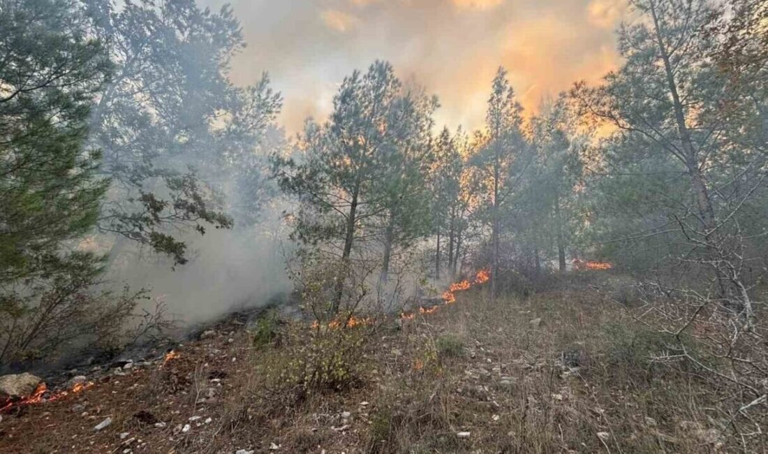 Mersin’in Bozyazı ilçesinde çıkan orman yangını, ekiplerin müdahalesiyle kontrol altına