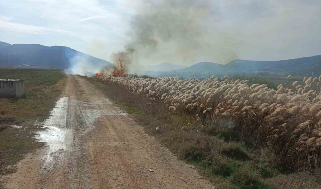 Burdur’un Bucak ilçesinde sazlık alanda çıkan yangın itfaiye ekipleri tarafından