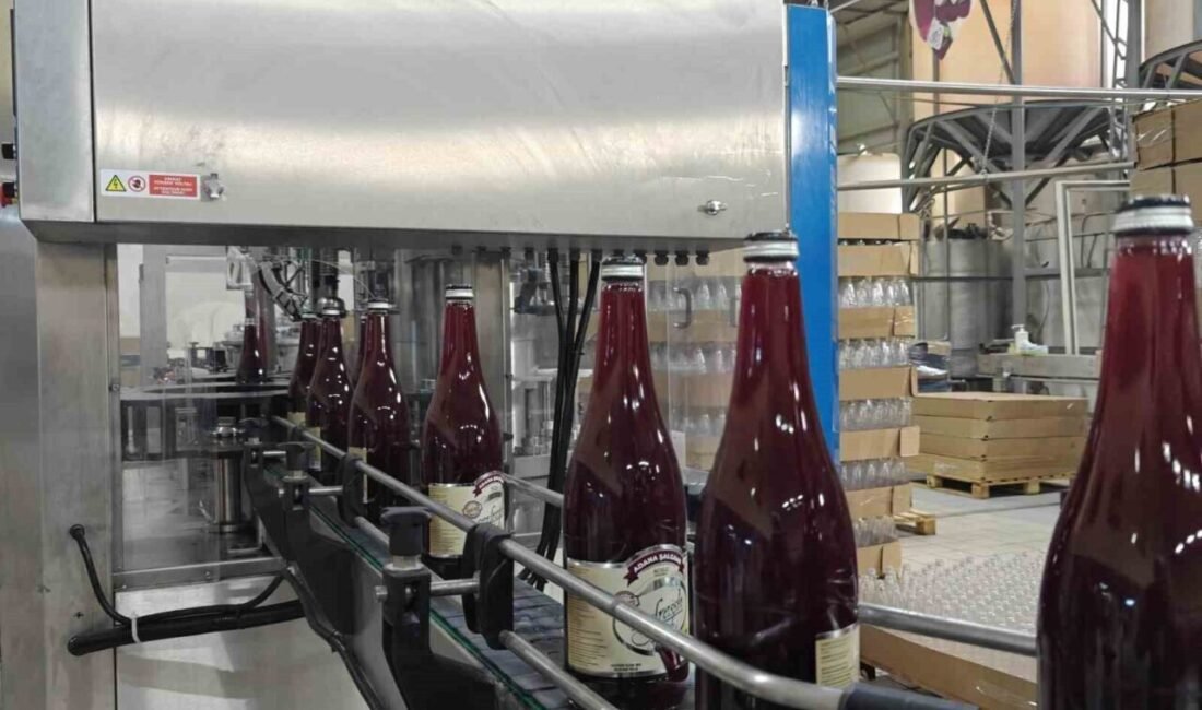 Ülkemizde son yıllarda çevre bilincinin artmasıyla birlikte Büyük Usta &