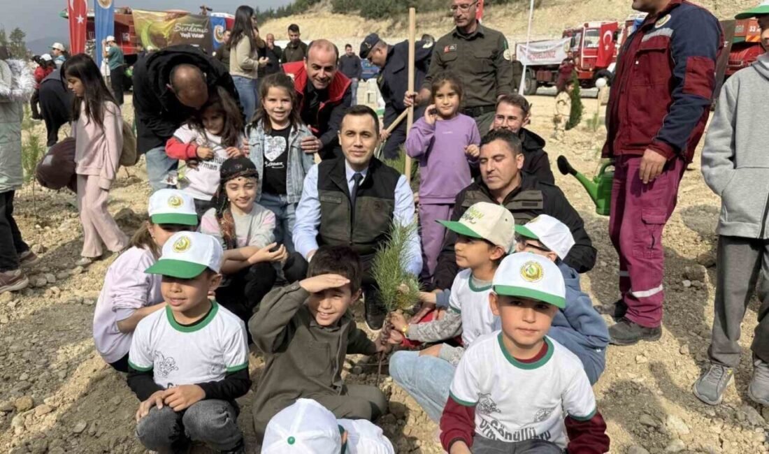 Mersin’in Çamlıyayla ilçesi Belçınar Mahallesi Atdağı mevkiinde, yeni açılan karayolu