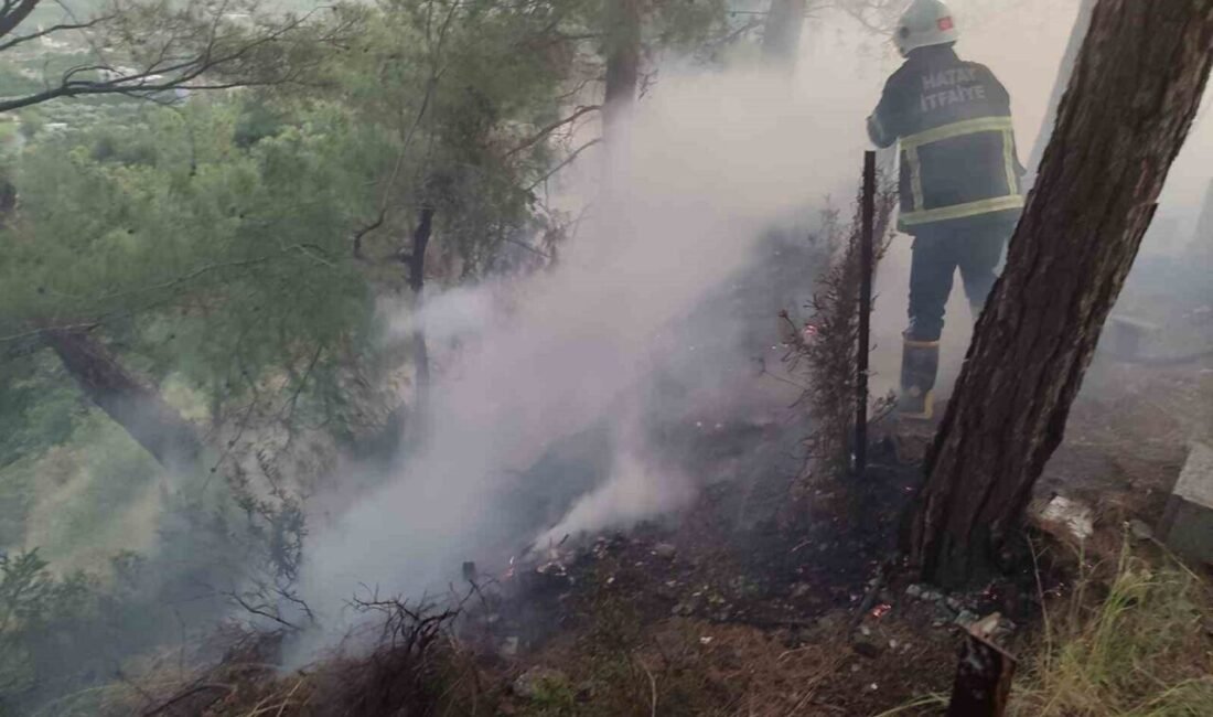 Hatay’da ormanlık alanda çıkan yangın büyümeden söndürüldü. Yangın, Dörtyol ilçesi