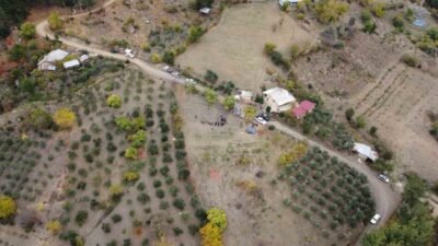 Adana’nın Kozan ilçesinde dünyanın en pahalı baharatı safranda hasat başladı.