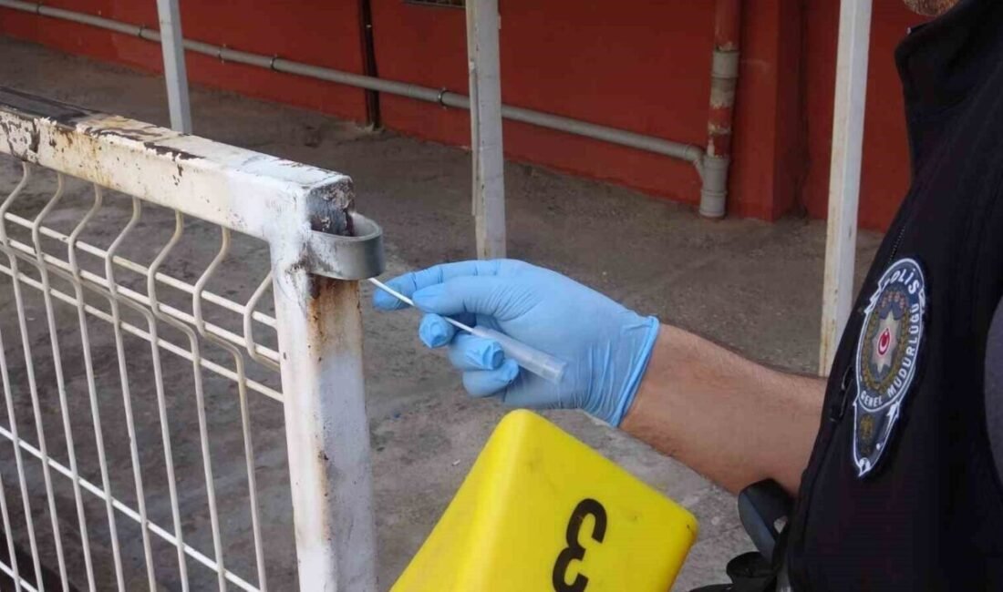 Antalya’ya parkta alkol alan ve yoldan geçen vatandaşlara saldırmaya başlayan