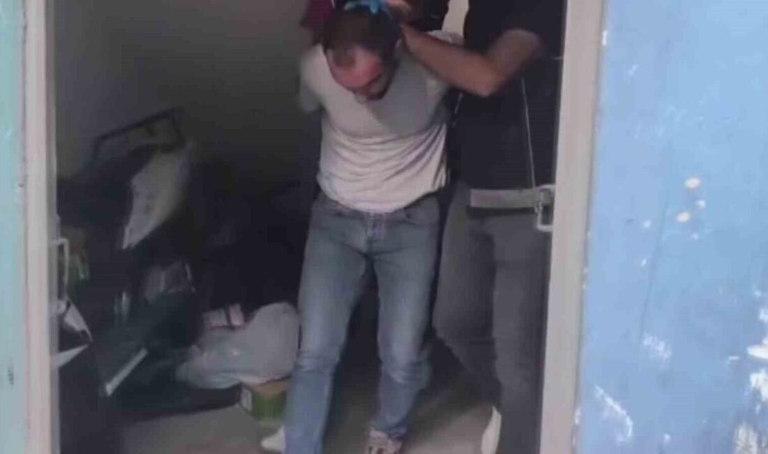 Adana’da bir eve yapılan baskında 472 kilogram bonzai üretmeye yetecek