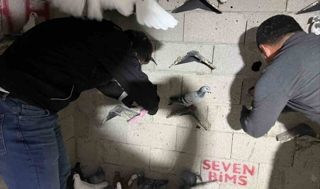 Hatay’ın İskenderun ilçesinde bir adrese yapılan uyuşturucu operasyonunda kuş kümesi