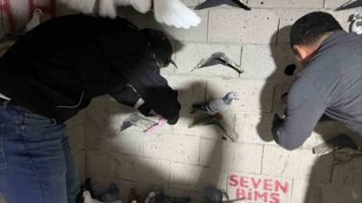 Hatay’ın İskenderun ilçesinde bir adrese yapılan uyuşturucu operasyonunda kuş kümesi