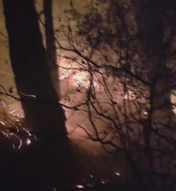 Hatay’ın Arsuz ilçesinde yıldırımın düştüğü ormanlık alanda yangın çıktı. Yangının