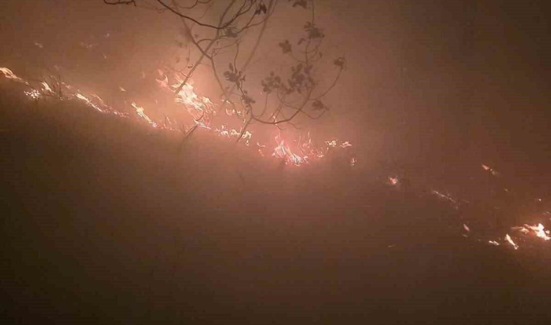 Hatay’ın Arsuz ilçesinde yıldırımın düştüğü ormanlık alanda yangın çıktı. Yangına