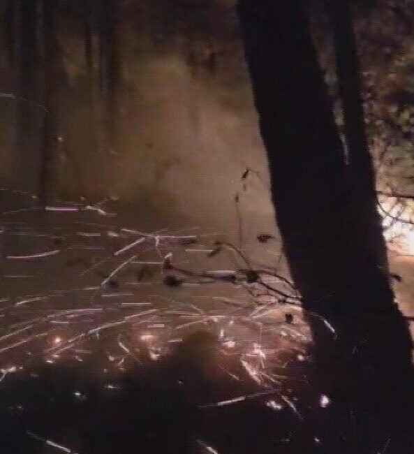 Hatay’ın Arsuz ilçesinde ormanlık alanda yıldırım düşmesi sonucu çıkan yangın,